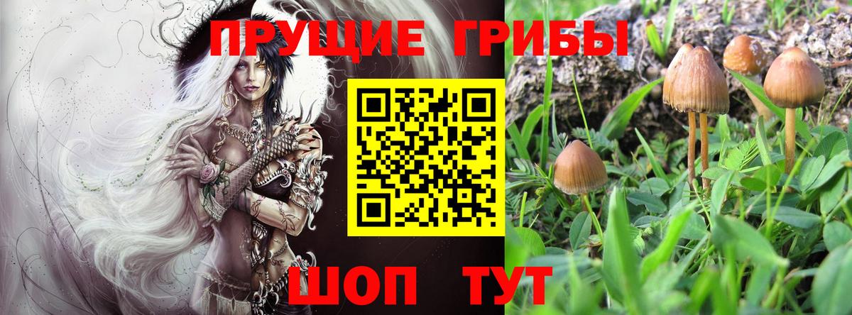 Галлюциногенные грибы мухоморы Туймазы
