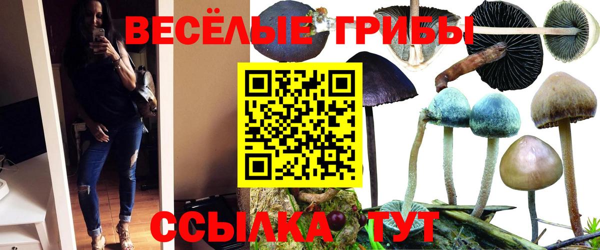 Галлюциногенные грибы GOLDEN TEACHER  Вход с VPN  Туймазы 